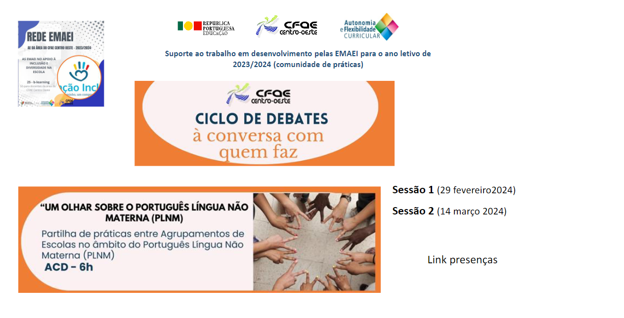 Um olhar sobre o Português Língua Não Materna