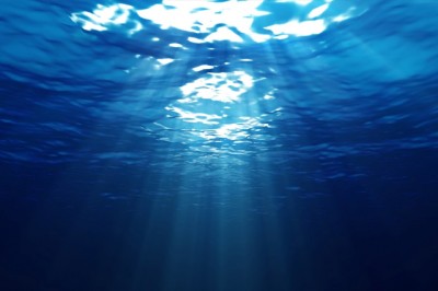 16NF2017 - Literacia dos Oceanos numa abordagem interdisciplinar – apoio ao planeamento de atividades